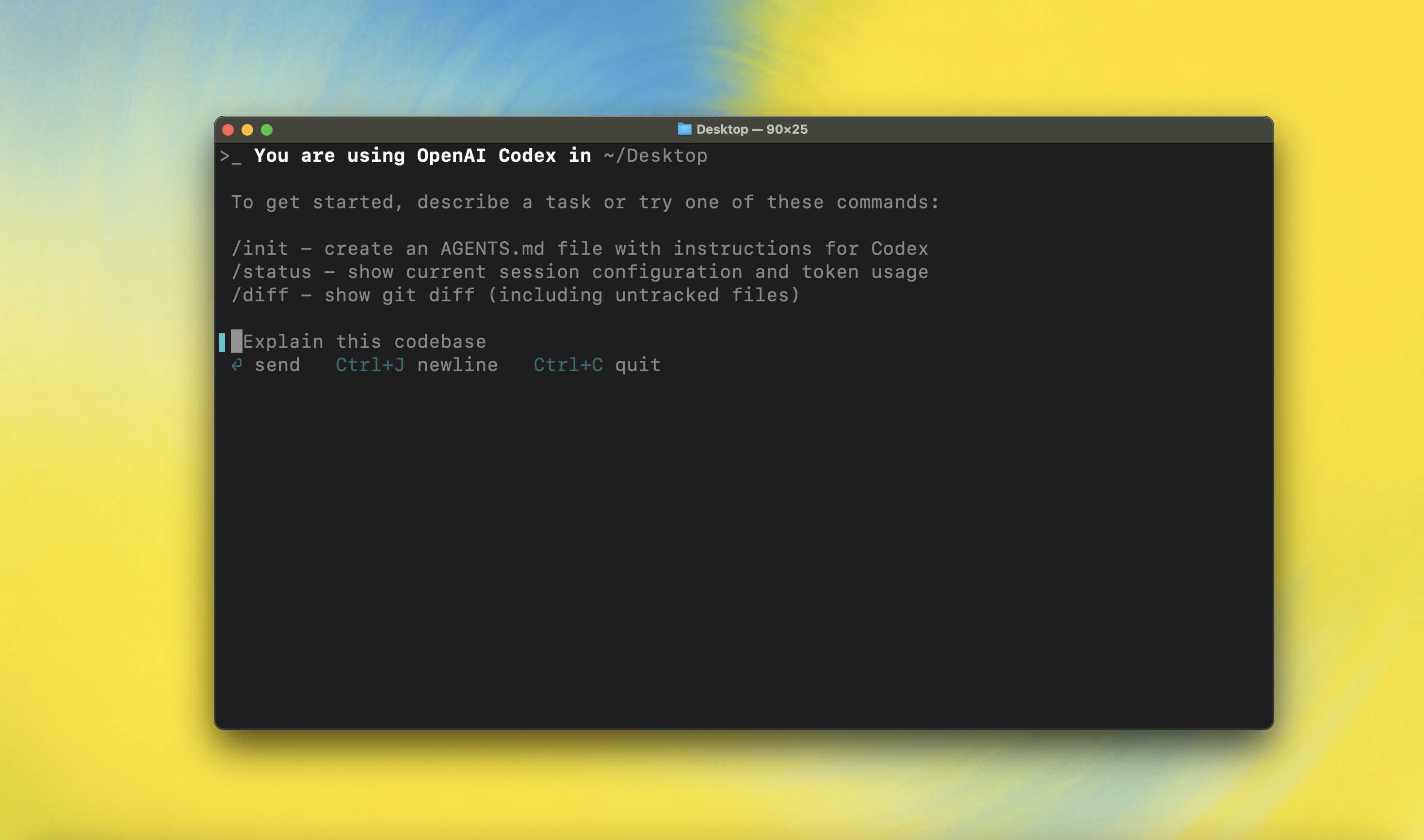 Codex CLI 启动画面